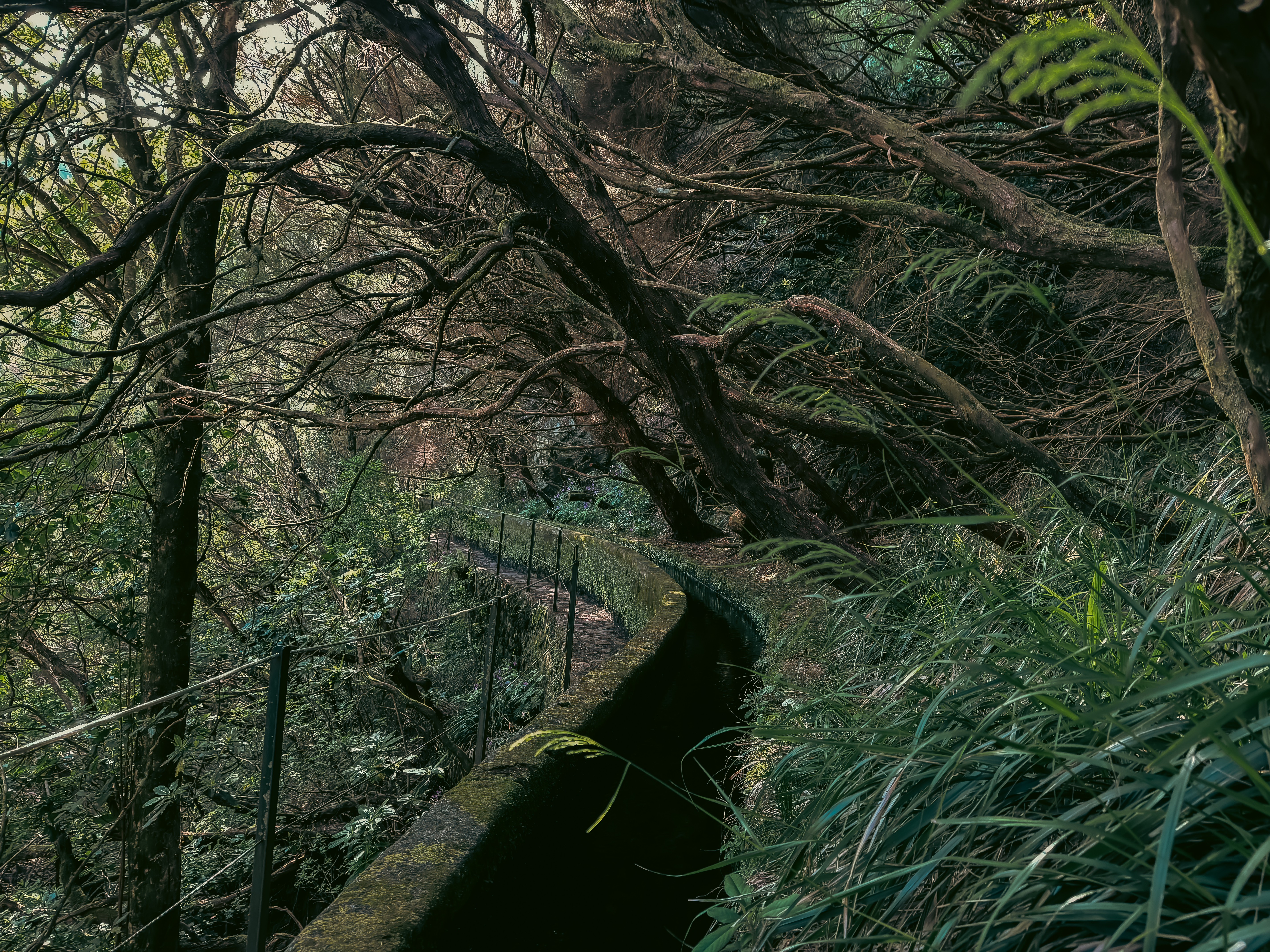 Portfolio Frame 5